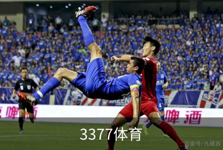 3377体育简介