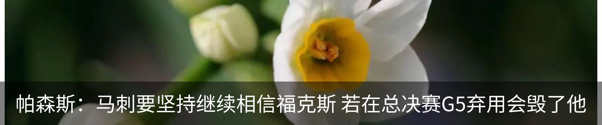 新闻动态