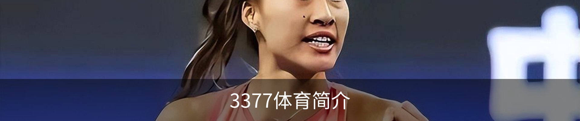 3377体育简介
